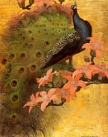 Blue Peacock