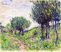 Hügelige Landschaft mit Bäumen und Weg