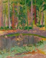 Wooded Pond