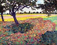 Apple Trees