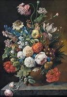 Flowers with Insects and Water Drops