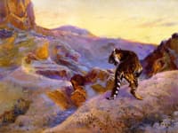 Tiger in the Mountains