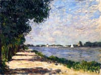 Trees near the Water with a Boat