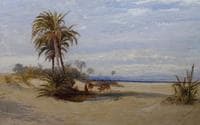 Ain Moussa, the Wells of Moses