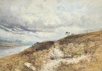 A Heathland Path (Slackmount)