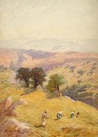 The Fields Between Jerusalem and Jericho