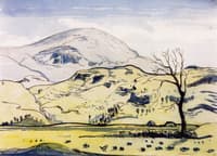 Arenig
