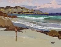 Boy and Sea, Iona