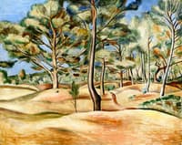 Forest at Lecques
