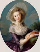 The Vicomtesse de Vaudreuil