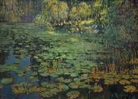 Water Lily