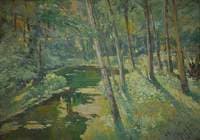 Spring in the Forest
