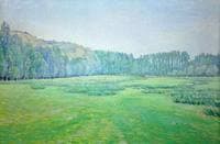 Meadow