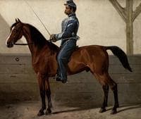 Portrait of a Hussar
