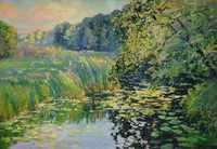 River Landscape - Arm of a River
