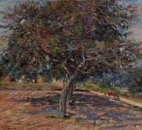 The Trees in Ille de France