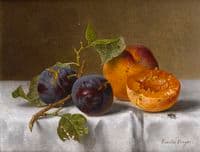 Plums and Apricots