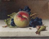 Still Life of Fruit and Nuts on a Ledge