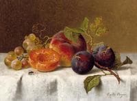 Still Life with Plums, Grapes and Apricots