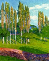 Poplars in Spring