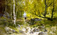 Walk in the Woods in Fontainebleau Forest