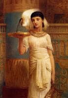 Alethe, Attendent of the Sacred Ibis