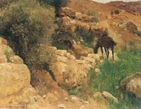 Ancient Enclosure of a Spring, Syria (Antike Quellfassung, Syrien)