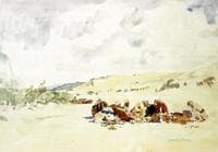 Bedouin Camp in Wadi Garandel (Beduinenlager im Wady Garandel)