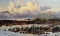 River Landscape