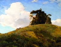 Eucalyptus on a Hill