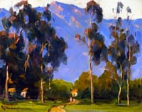 Eucalyptus Landscape