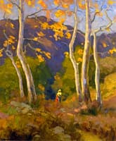 Sycamores in Winter