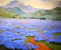 Lupine on the Grapevine