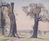 Richmond Park