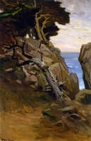 Monterey Coast