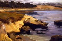 Cove at Carmel