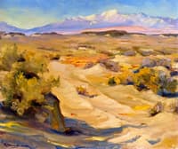 Mr. Gorgonio and Desert