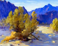 In Box Canyon