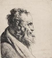 Bust of an Old Bearded Man, Facing Right