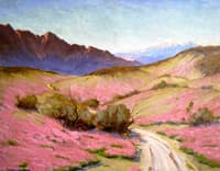 Desert Verbena