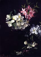 Sketch of Apple Blossoms with May Flowers