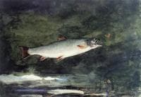 Leaping Trout