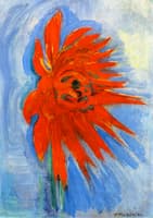 Red Chrysanthemum on Blue Background