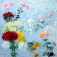 Etude de Chrysanthemes
