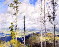 The South Wind