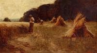 The Harvesters