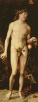 Adam (after Dürer)