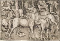 Stallion Approaching a Mare