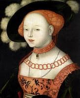 Portrait of a Lady