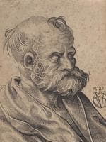 Bust of a Bearded Old Man